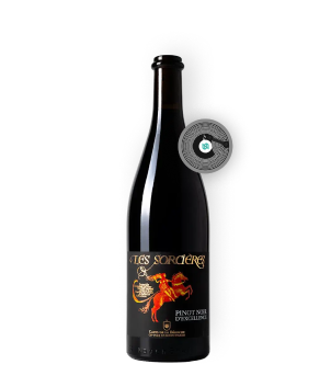 Bottiglie di vino connesse